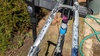 Raleigh Belt Drive single speed photo