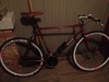 Raleigh Lenton Conversion photo