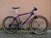 Raleigh M80 photo