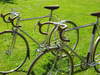 2 x 1983 Raleigh Record Ace 12 photo