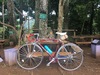 Raleigh Record Sprint photo