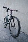 Raleigh Tactic Altimetric Series 1991 photo