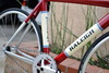 Raleigh x Macaframa photo