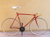 rare 80's SEROTTA aero pursuit track photo