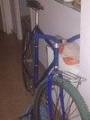 Rat Bike photo