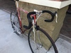 Ratty Scapin photo