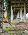 **SOLD** RAW frame single speed townie photo