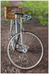 **SOLD** RAW frame single speed townie photo