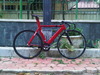 Red Ciclofissato photo