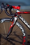 Red Dogma photo