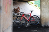 Cevelo T1 / RED Machine ARKN photo