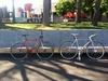 Red, the Colnago photo