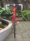 Red TRX 790 photo