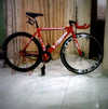 Red Visep photo