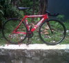 Red Visep photo