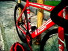 Red Visep photo