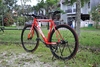 Red Visp photo