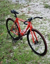 Red Visp photo