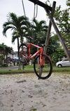 Red Visp photo