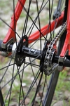 Red Visp photo