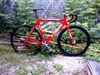 RED visp - ReDis photo