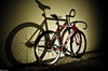 Red VISP TRX 790 photo