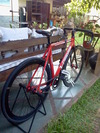 Red Visp Trx 790 photo