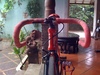 Red Visp Trx 790 photo