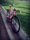 Red Visp Trx 790 photo