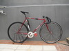 Reddy, simple classic fixed gear photo