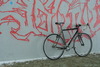 Redline SSCX Conquest photo