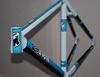 Cinelli Parallax Custom Pantone frame photo