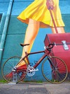 Renovo R1 wooden bike photo