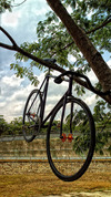 #RFCB Cycles photo