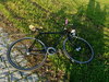 RH+O Fixed Commuter photo RH+O Fixed Commuter photo