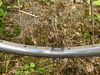 Rickert Spezial Campagnolo (2000) photo