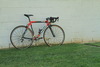 Ridley Gladius photo