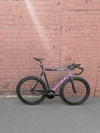 Ridley Oval 2012 photo Ridley Oval 2012 photo
