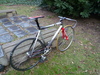 Ridley Oval photo
