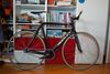 Ridley Oval 7d6.1 (sold) photo