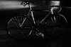 Ridley Oval 907c photo