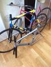 (FOR SALE) RIDLEY OVAL BANANA SPECIAL photo