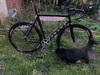 (FOR SALE) RIDLEY OVAL BANANA SPECIAL photo