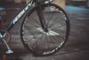 Ridley Oval black spider photo