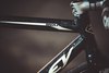 Ridley Oval black spider photo