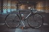 Ridley Oval black spider photo