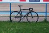 Ridley Oval black spider photo