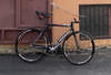 Ridley Oval black spider photo