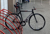 Ridley Oval black spider photo