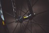 Ridley Oval black spider photo